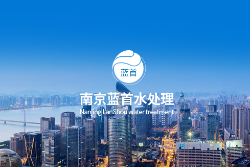 丹东建站-南京蓝首水处理设备有限公司