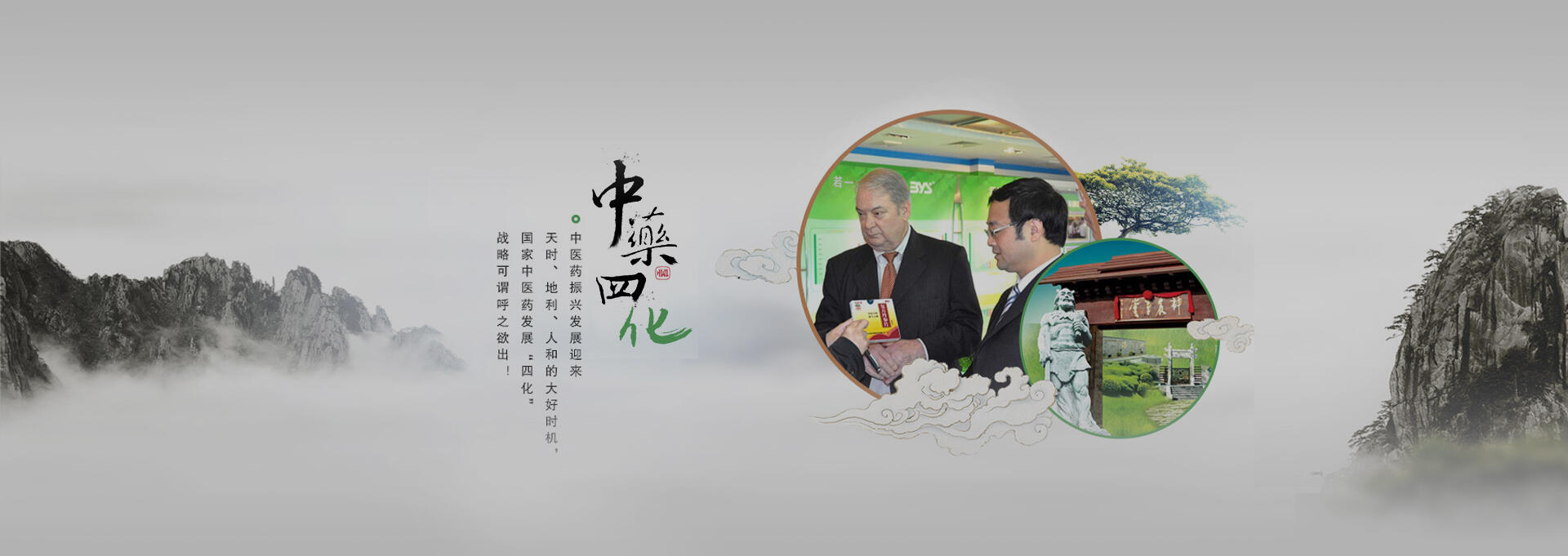 宽甸建站-若一医药科技